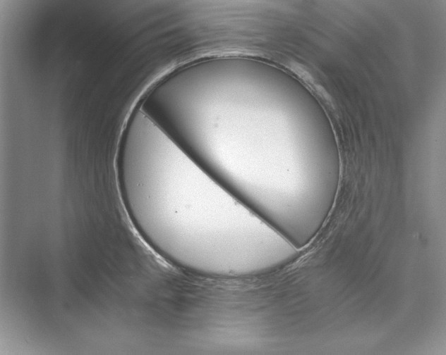 X0000073411189200608111317