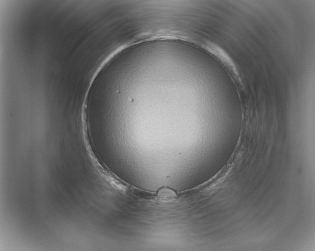 X0000073411190200608111317