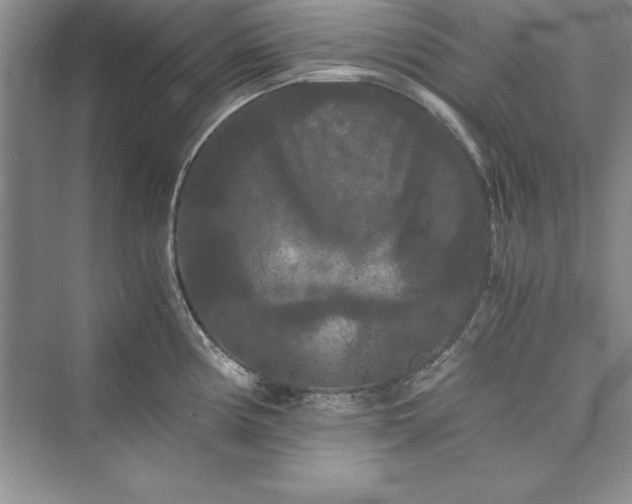 X0000073411194200608111317