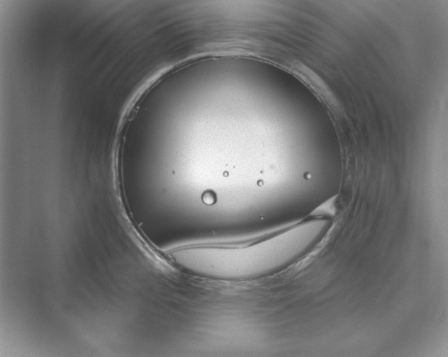 X0000073411196200608111317