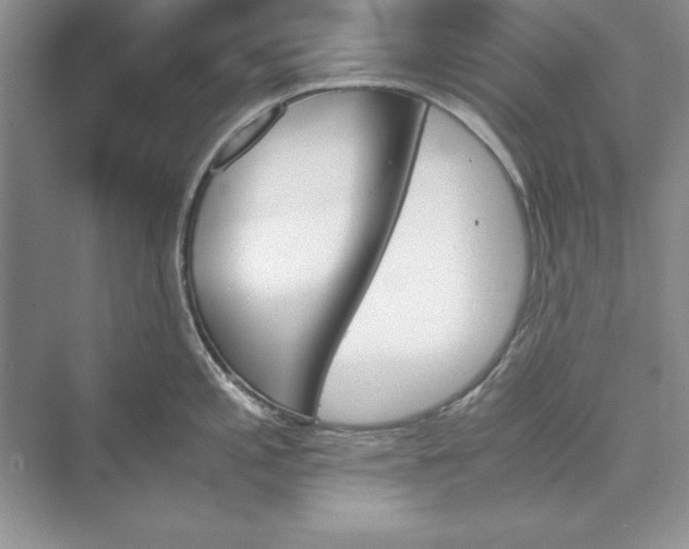 X0000073411197200608111317