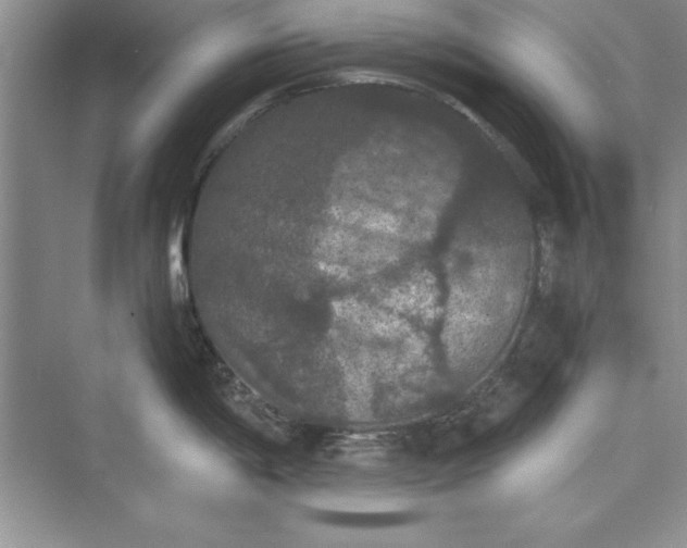 X0000073411198200608111317