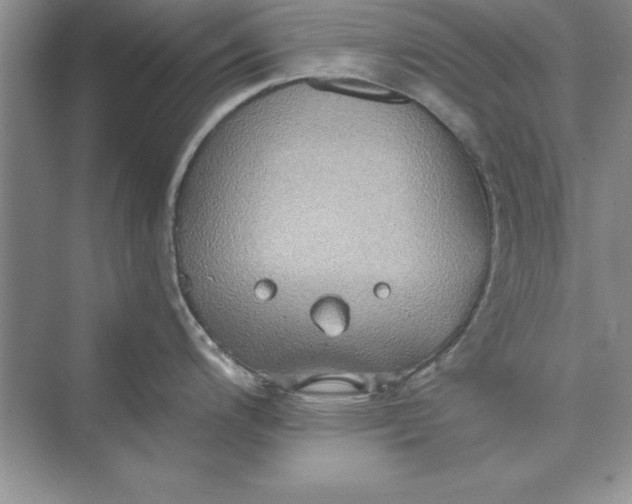 X0000073411200200608111317