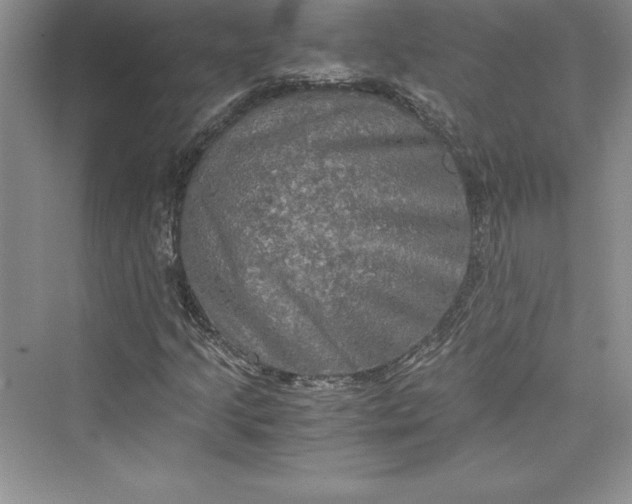 X0000073411205200608111316