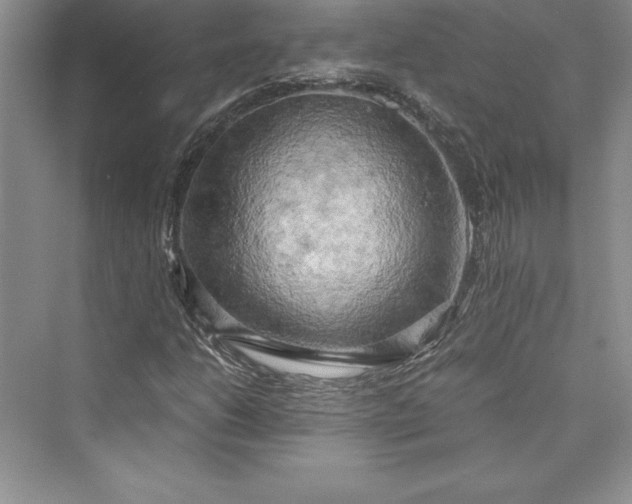 X0000073411206200608111316