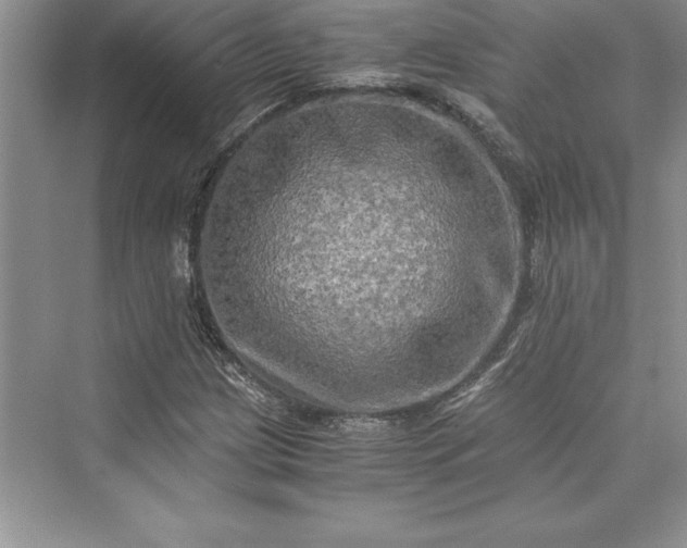 X0000073411209200608111316