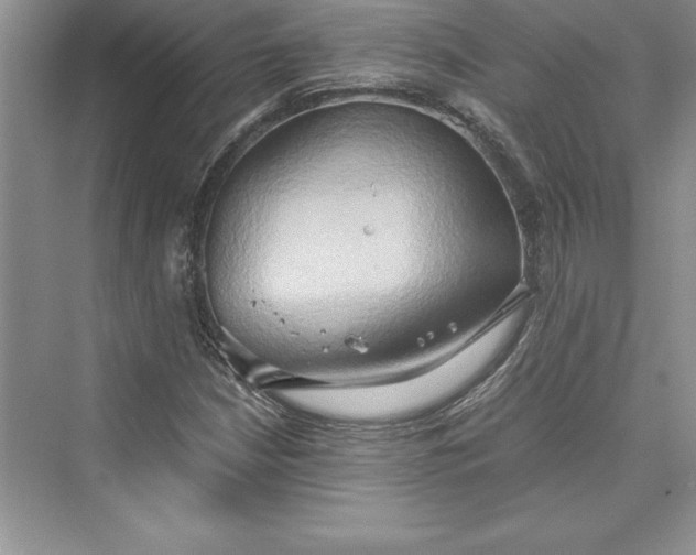 X0000073411210200608111316