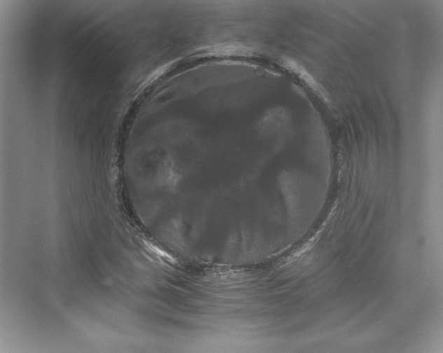 X0000073411213200608111316