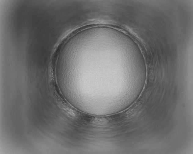 X0000073411215200608111316