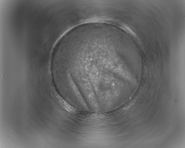 X0000073411216200608111316