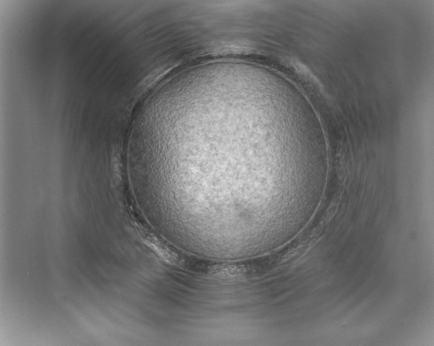 X0000073411217200608111316