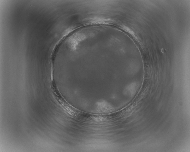 X0000073411219200608111316