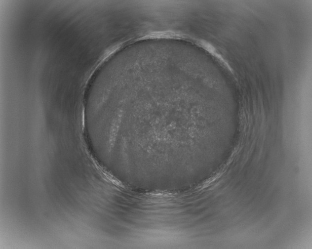 X0000073411221200608111316