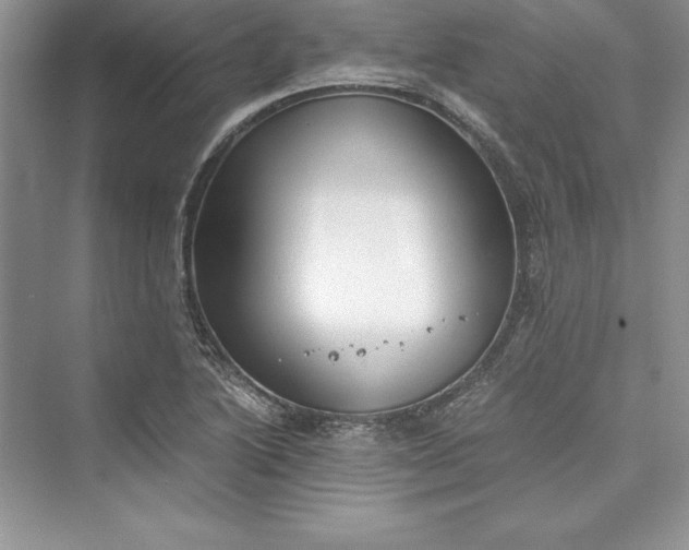 X0000073411222200608111316