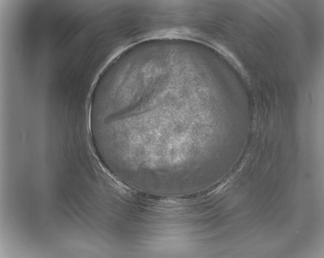 X0000073411224200608111316