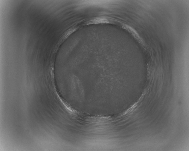 X0000073411225200608111316