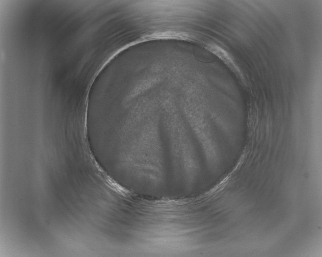 X0000073411228200608111316