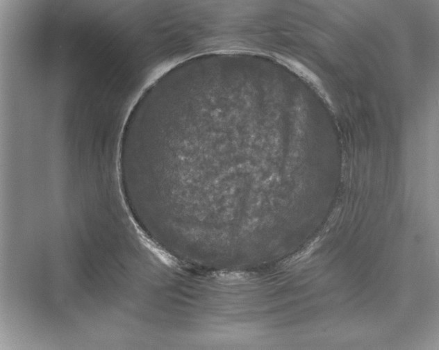 X0000073411231200608111316