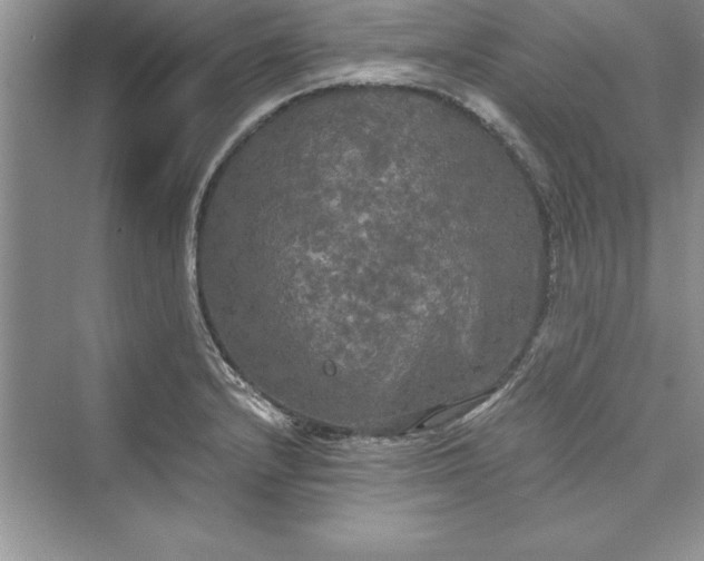 X0000073411232200608111316