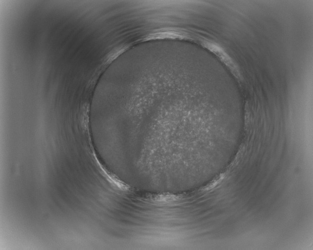 X0000073411233200608111316