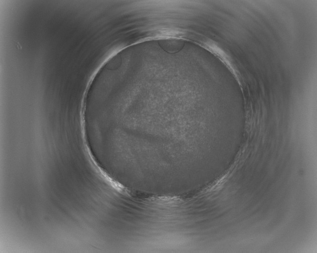 X0000073411235200608111316