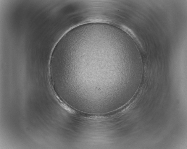 X0000073411236200608111316