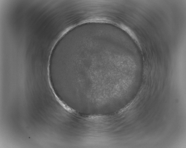 X0000073411237200608111316