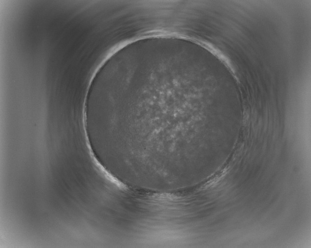 X0000073411239200608111317