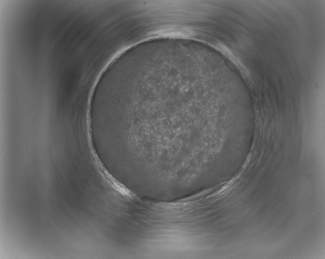 X0000073411240200608111317