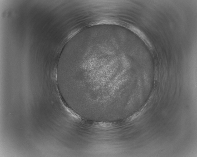 X0000073411241200608111317