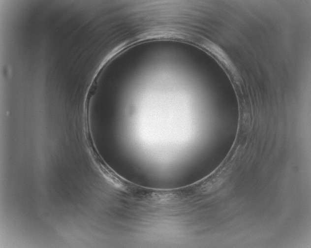 X0000073411242200608111317