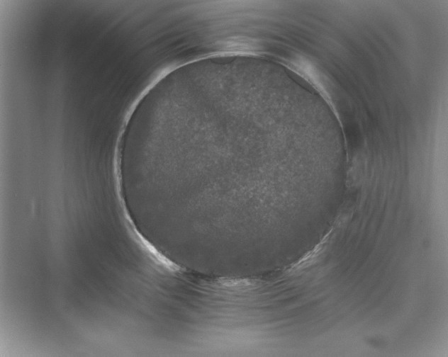 X0000073411243200608111317