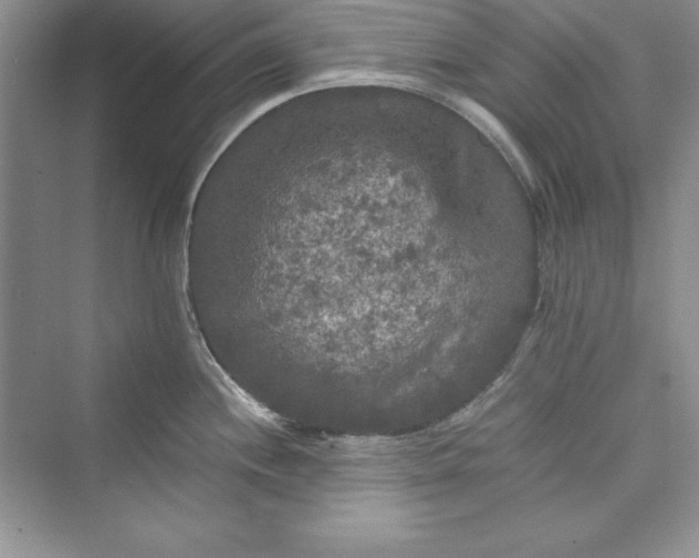 X0000073411244200608111317