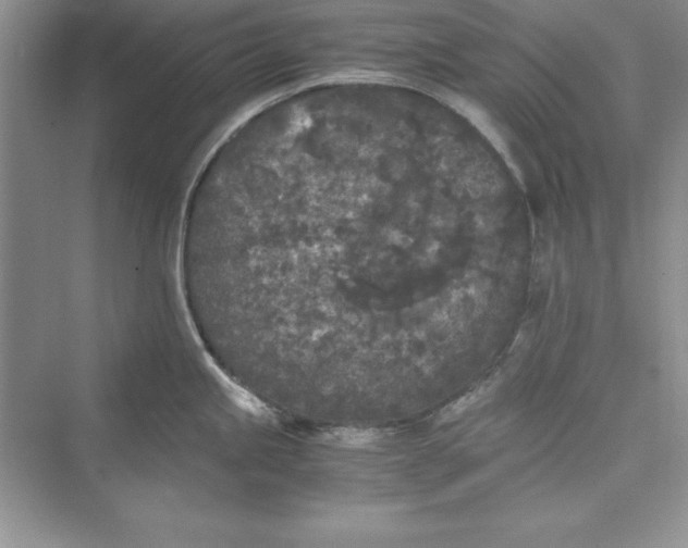 X0000073411245200608111317