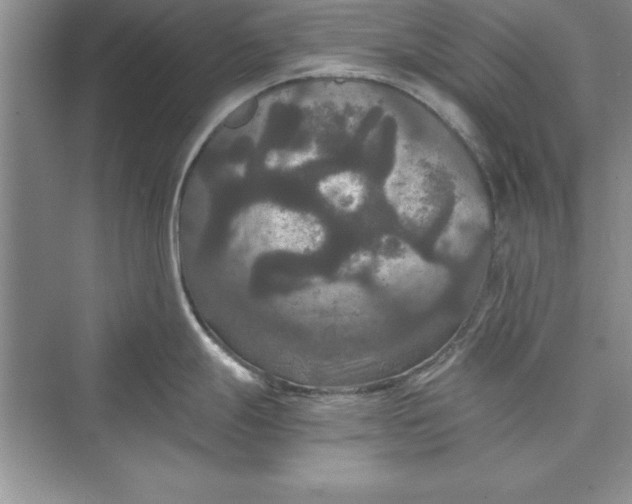 X0000073411247200608111317