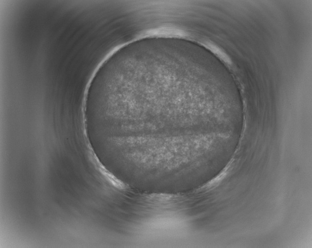 X0000073411248200608111317