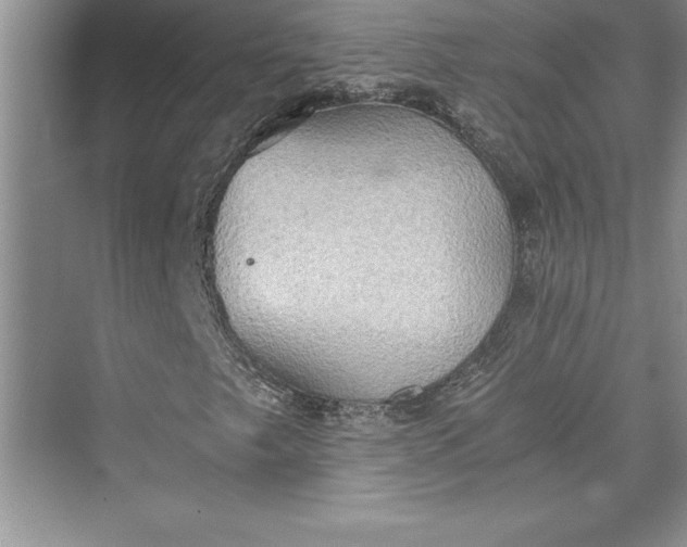 X0000073411249200608111316