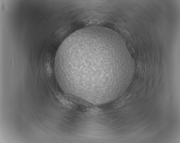 X0000073411250200608111316