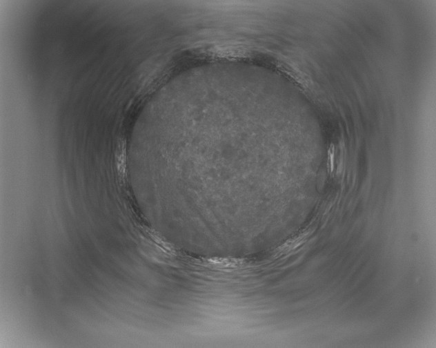 X0000073411251200608111316