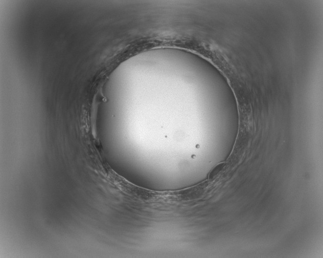 X0000073411253200608111316