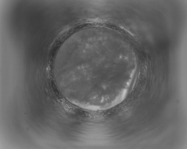 X0000073411254200608111316