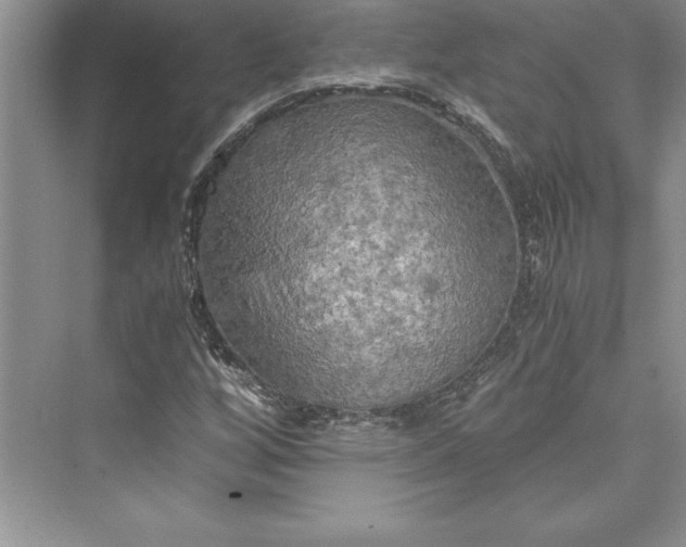 X0000073411256200608111316