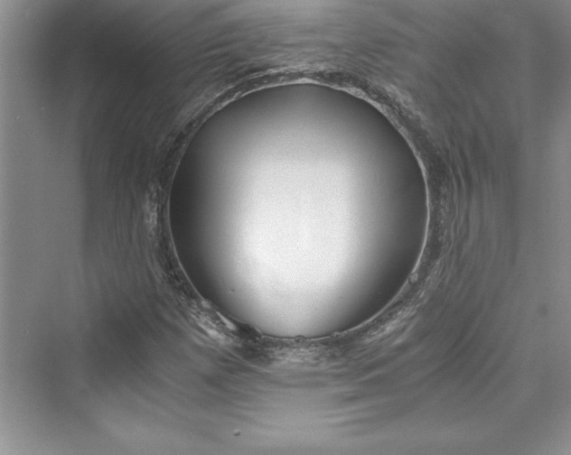 X0000073411257200608111316