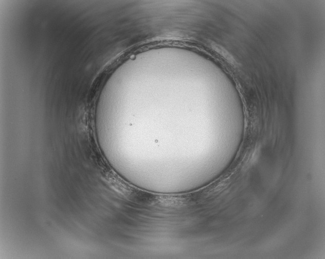 X0000073411258200608111316