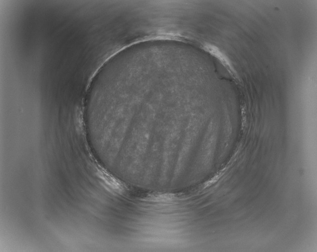 X0000073411260200608111316