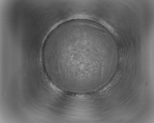 X0000073411264200608111316