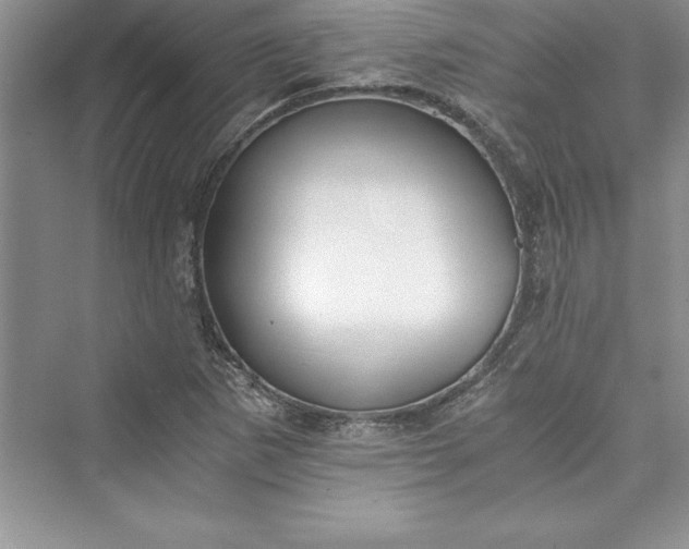 X0000073411265200608111316