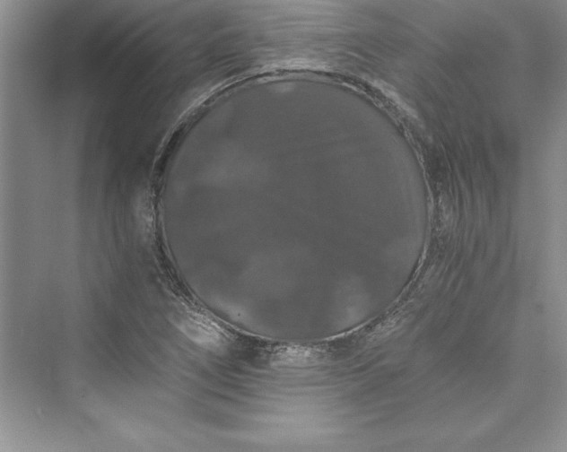 X0000073411266200608111316