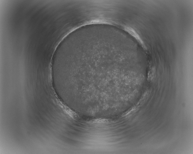 X0000073411268200608111316