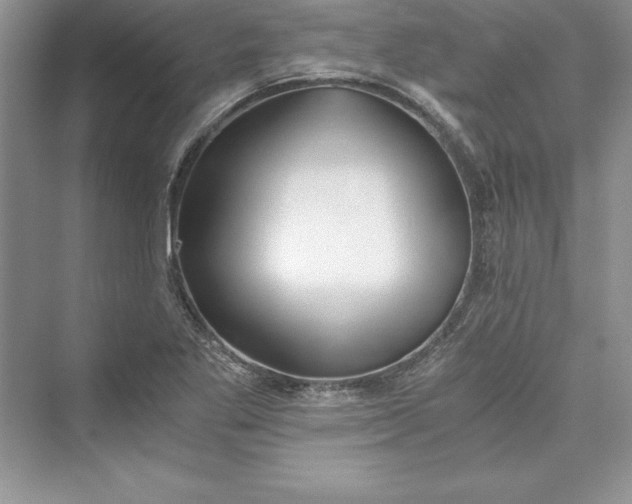 X0000073411269200608111316